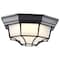 Nuvo LED Spider Cage Fixture, Black Finish with Frosted Glass 62/1400 - alternate 6